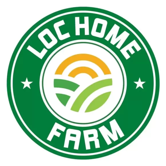  CÔNG TY TNHH CẢNH HY